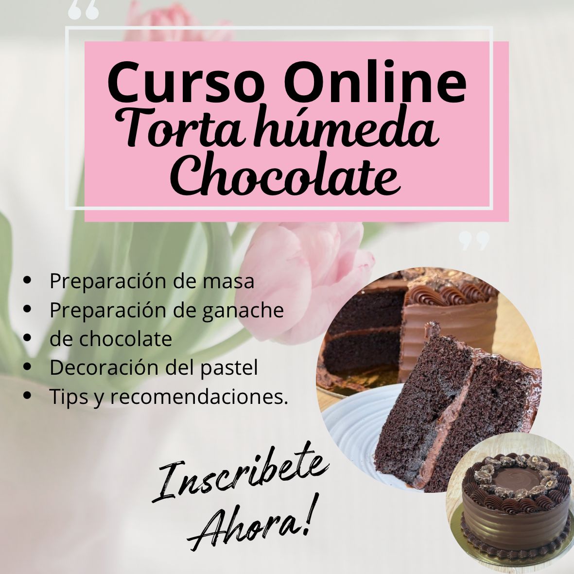 Curso Online Torta Humeda de Chocolate