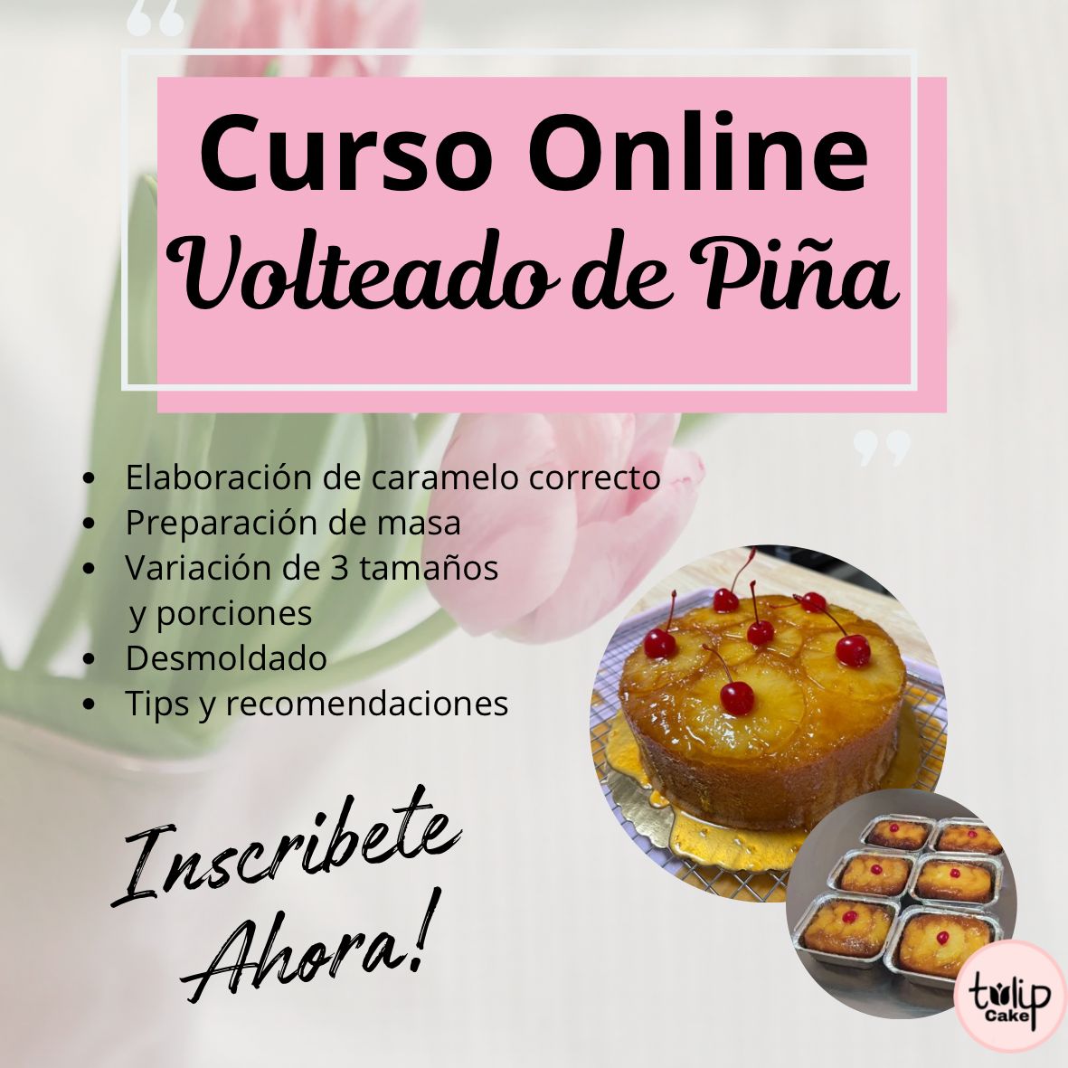 Curso Online Volteado de Pina